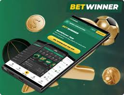A Comprehensive Guide to BetWinner Casino
