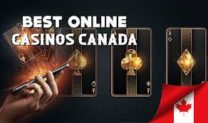 Discover the Best Online Casinos in Canada -213004792